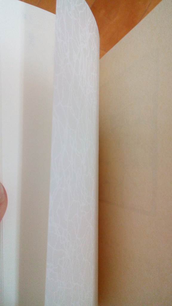 中堂さんとごはんを食べる話