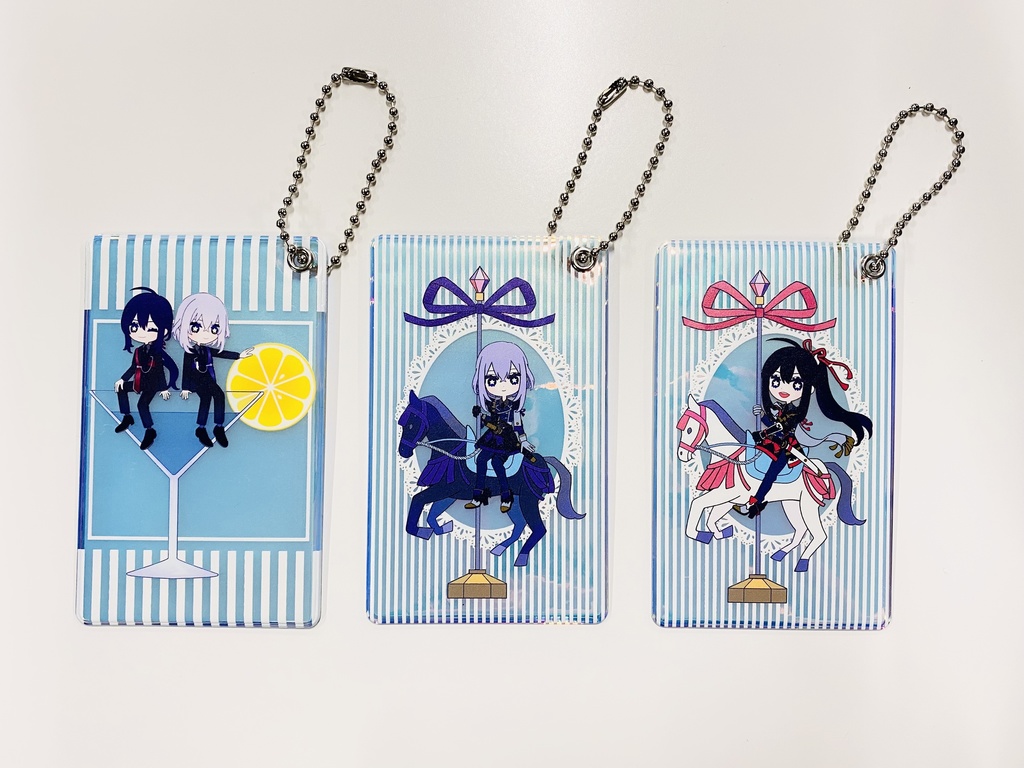 オーロラパスケース