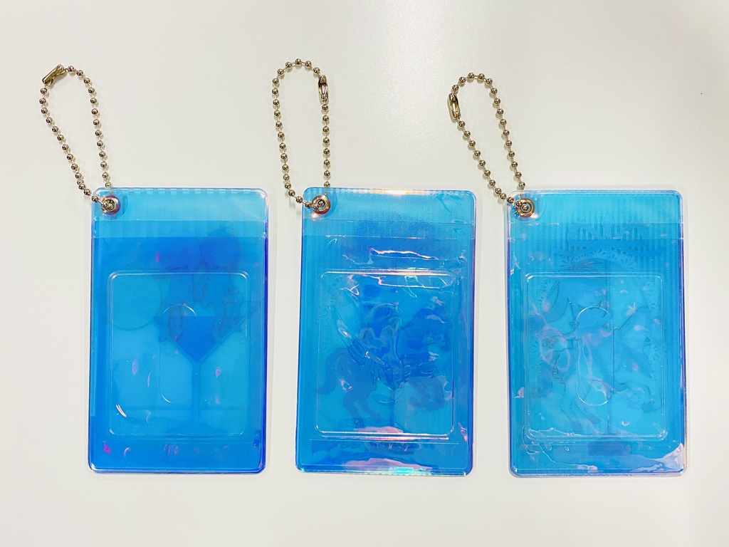 オーロラパスケース