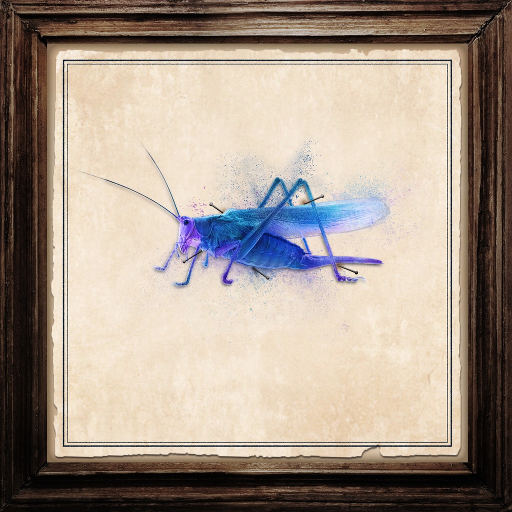 Grasshopper・SIDE CAR 2枚組CD Special Edition