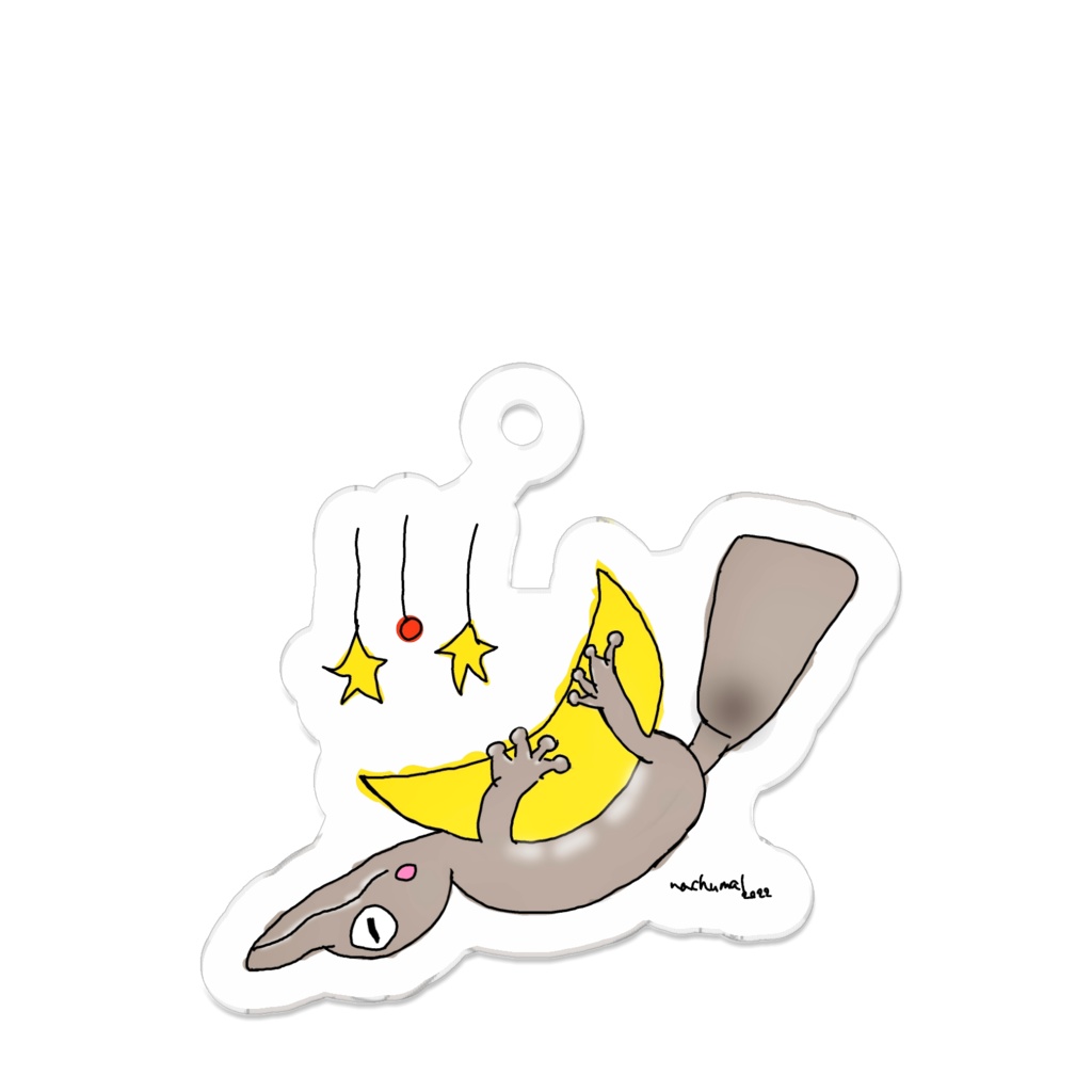 ヘラオヤモリのポッケ