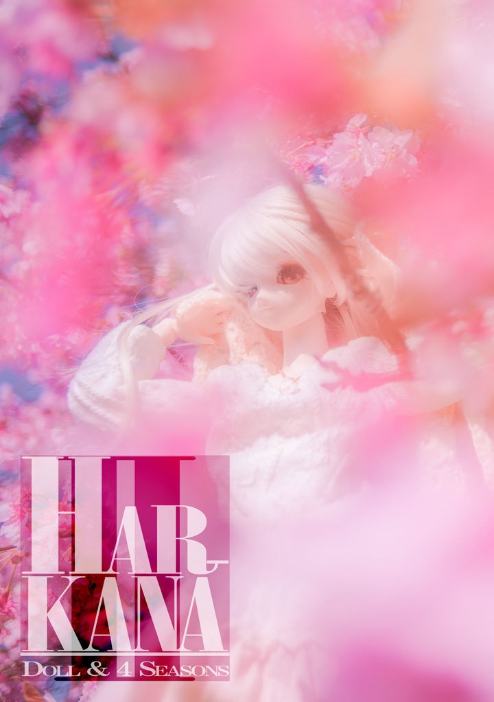 HARKANA 2（ハルカナ2）