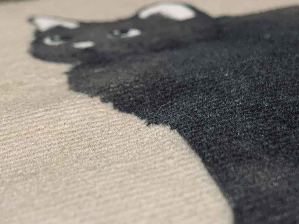 見上げ子猫-ハンドタオル