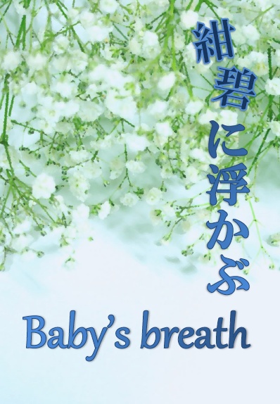 紺碧に浮かぶBaby's breath