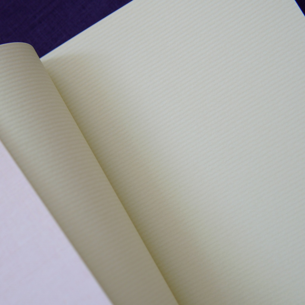 【タケマイ小説】ぬいちゃん