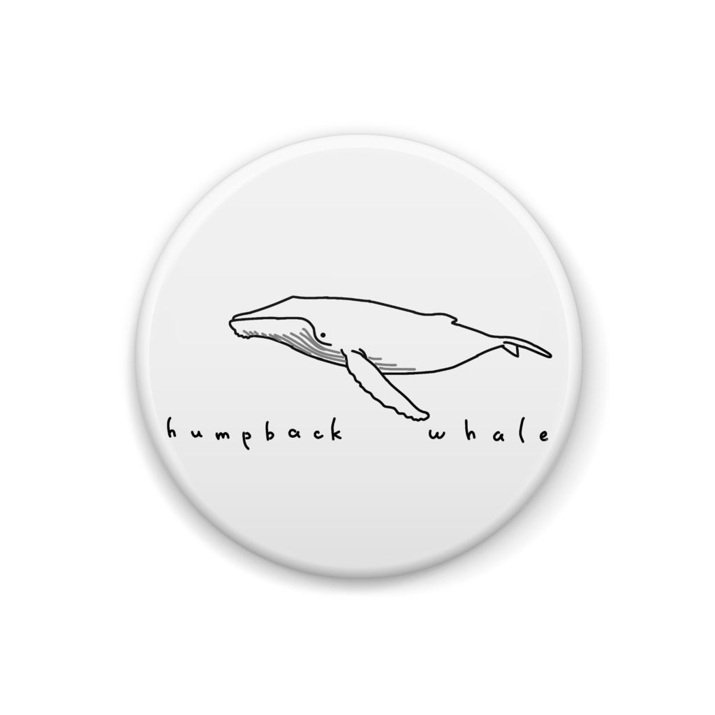 ザトウクジラ 缶バッジ
