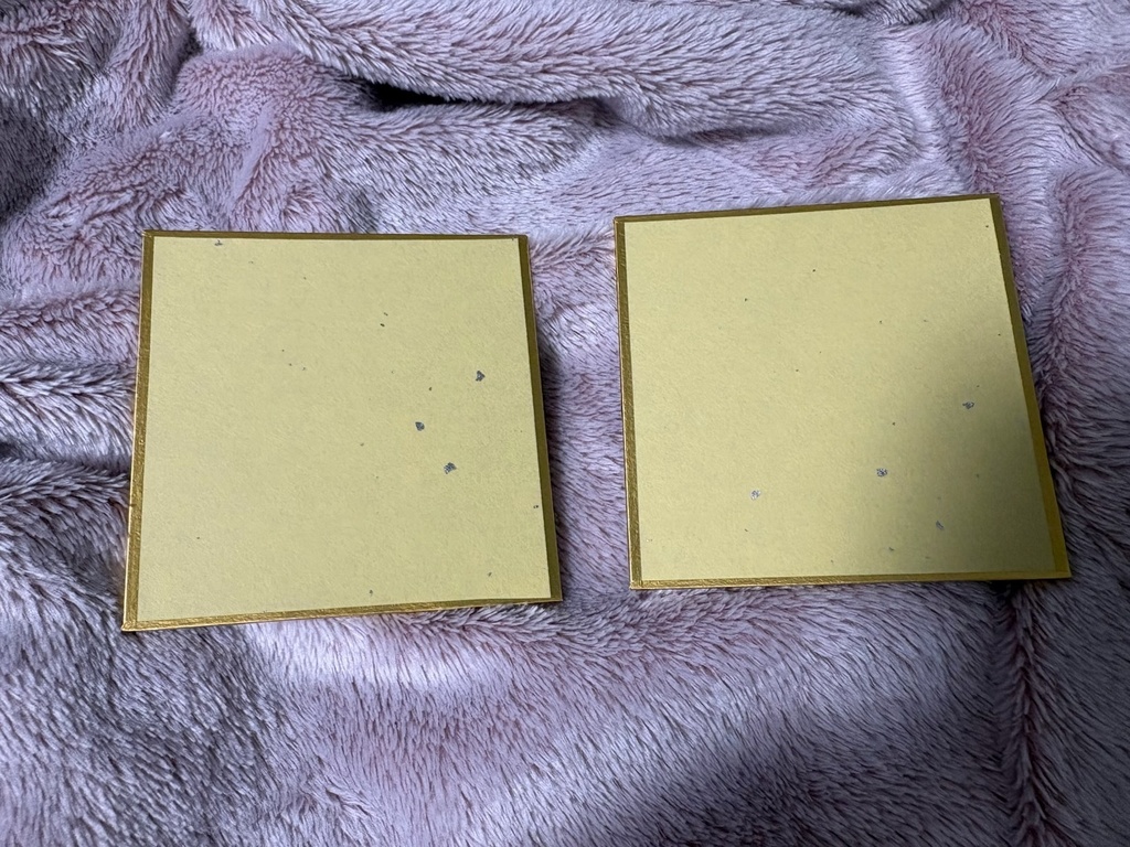 テキトーネコさん 色紙2枚セット
