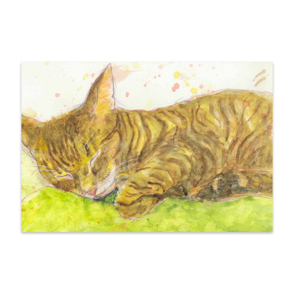 猫ポストカード１