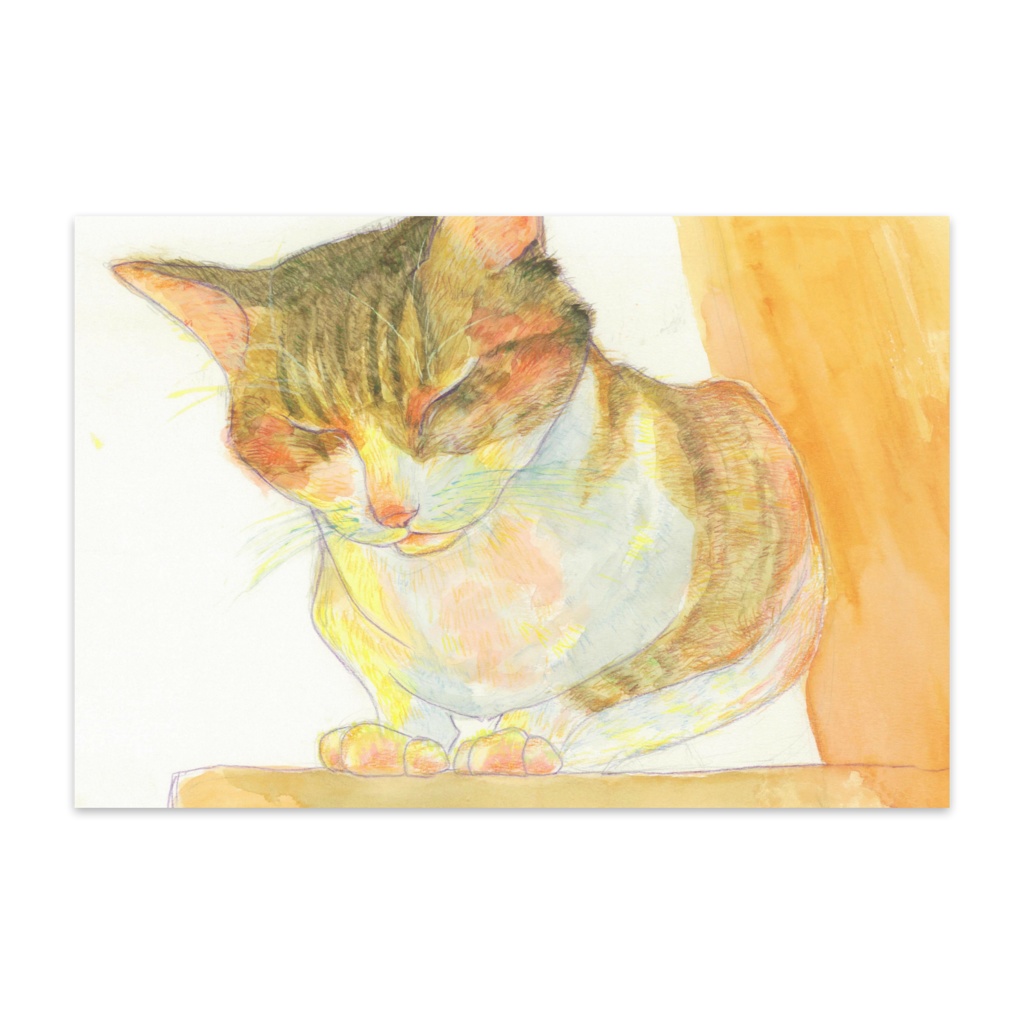猫ポストカード５