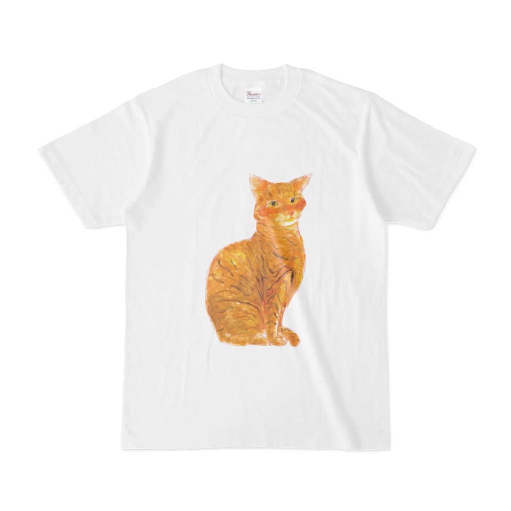 ねこT①