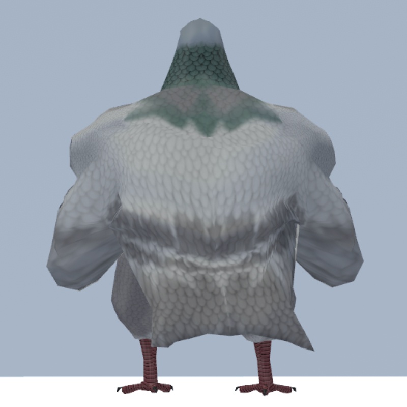 胸鳩