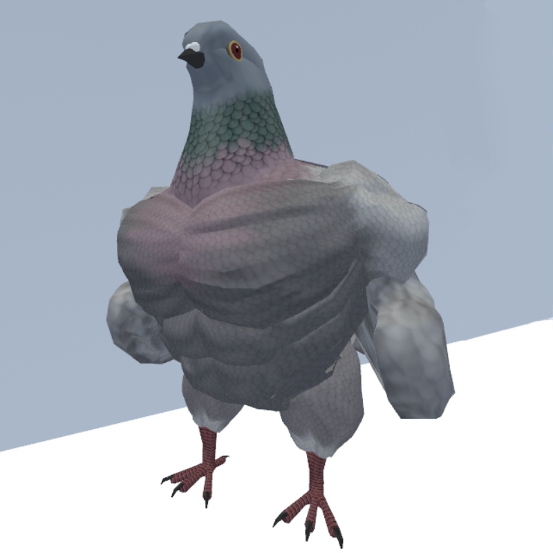 胸鳩