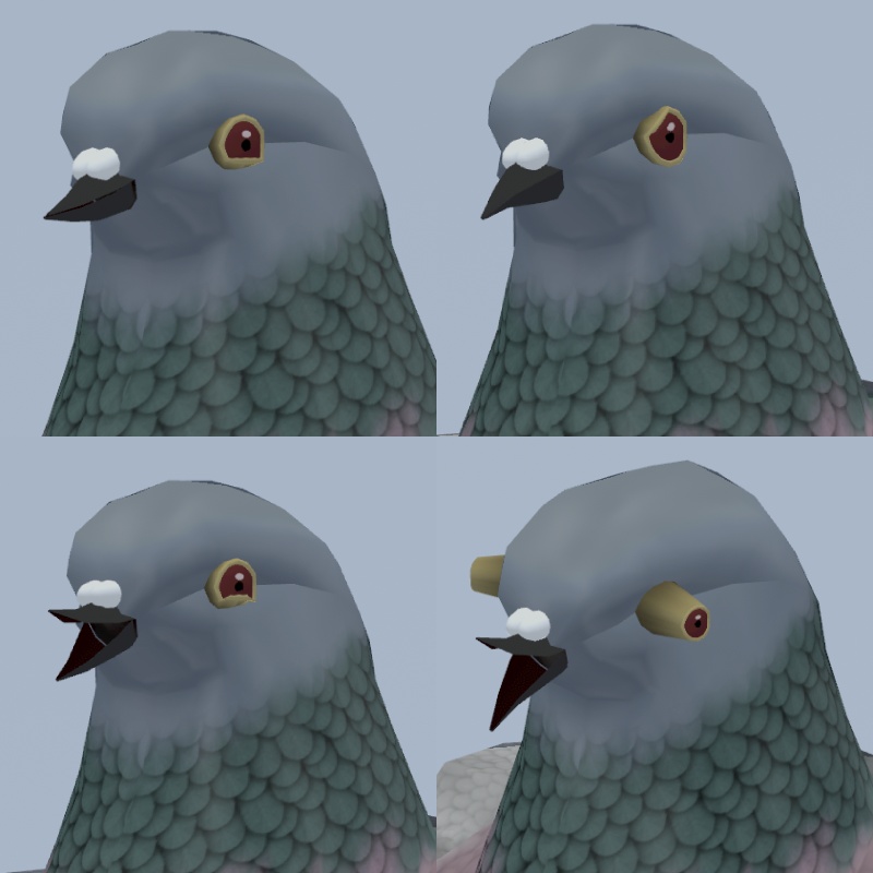 胸鳩