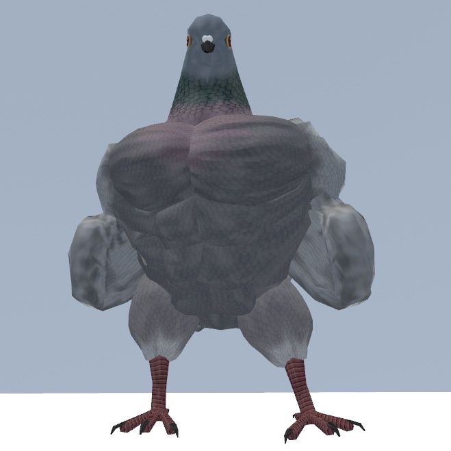 胸鳩