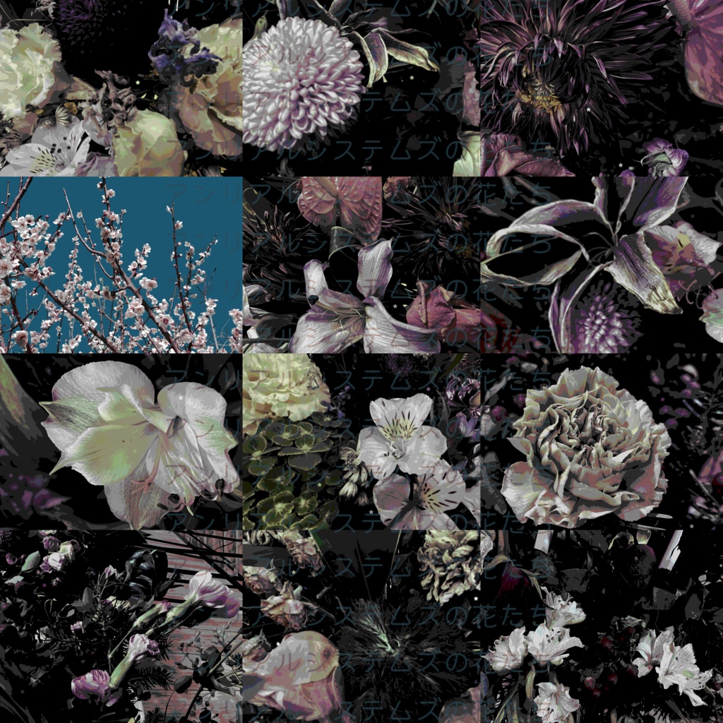 【画像素材】アンリアルシステムズの花たち
