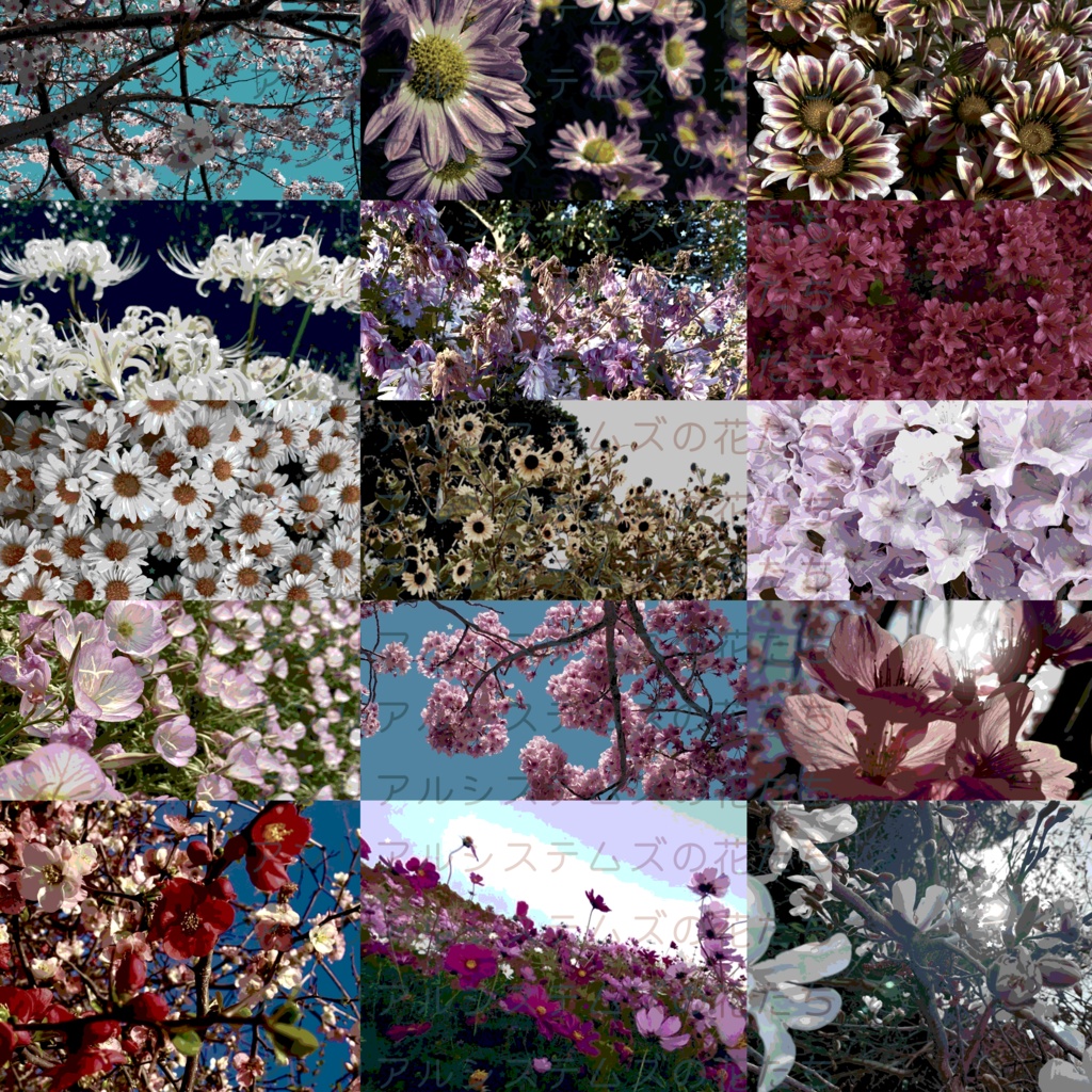 【画像素材】アンリアルシステムズの花たち