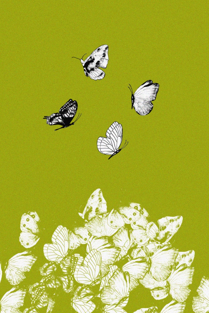 【ブラシ付き素材集】bow&butterfly