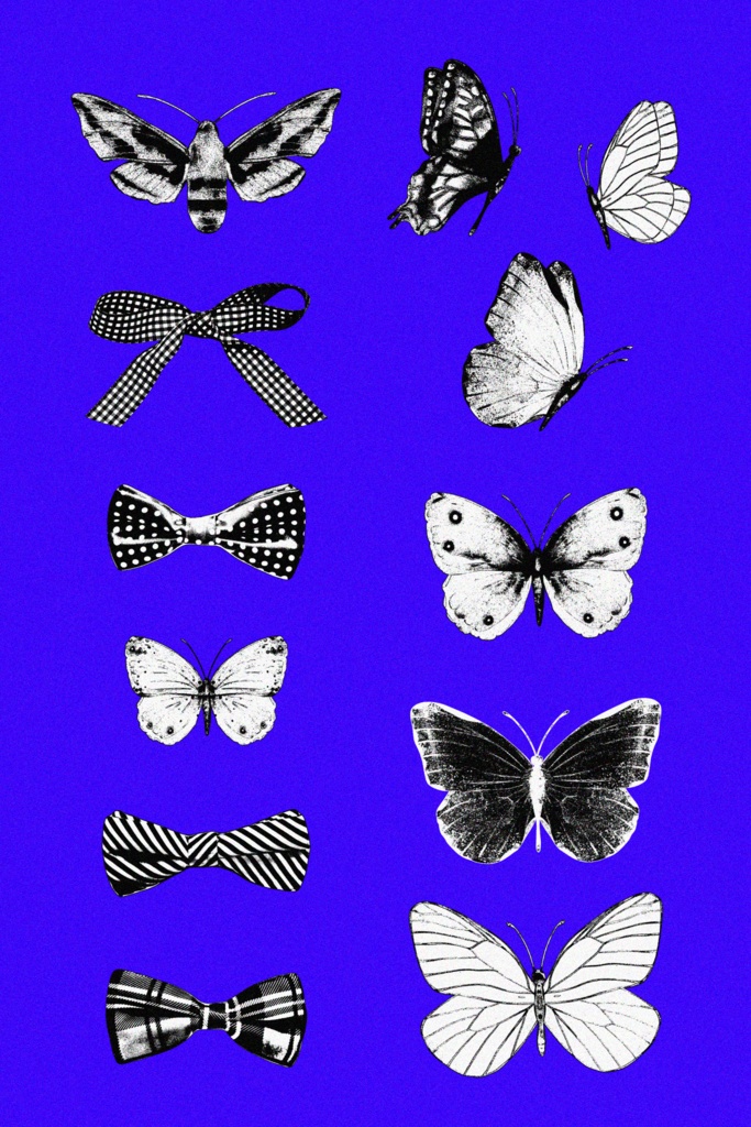 【ブラシ付き素材集】bow＆butterfly
