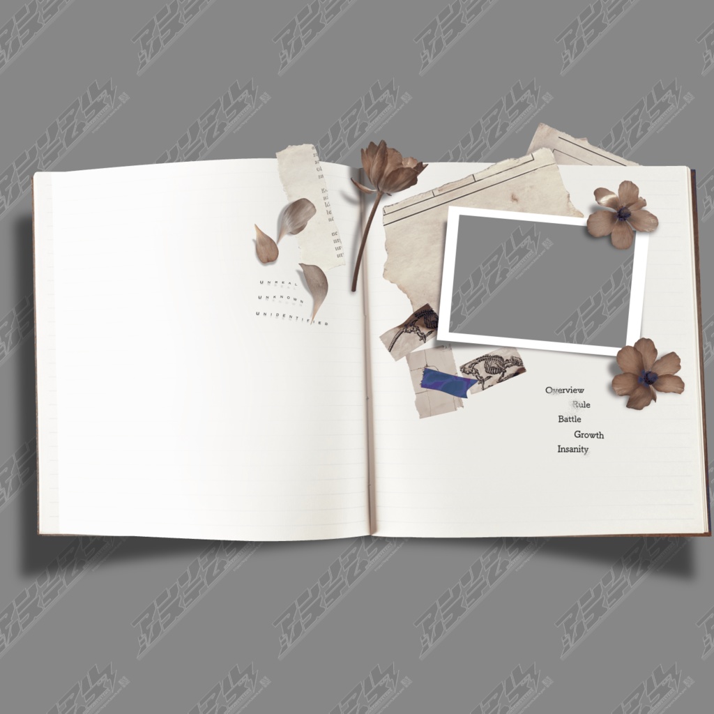 【パネル素材】Ranunculus