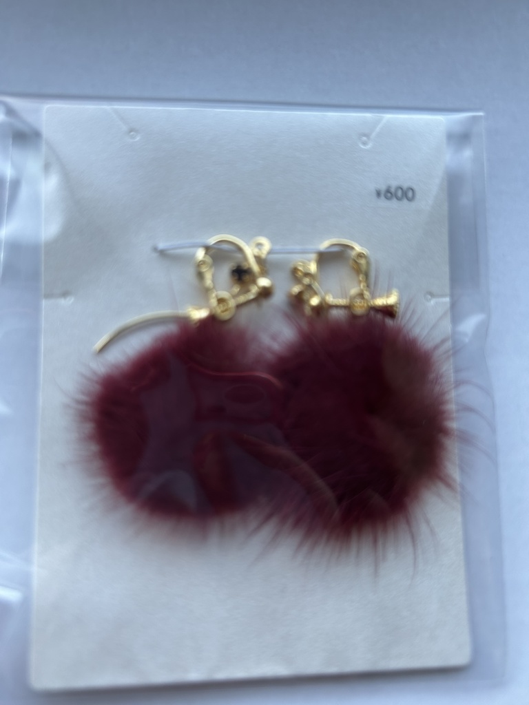 冬素材ピアス(シンプル)②