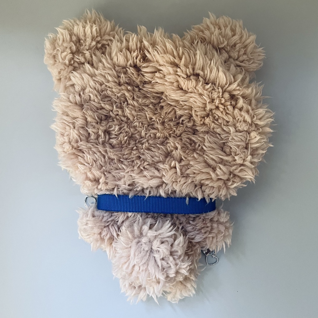 くまのきぐるみぬい服