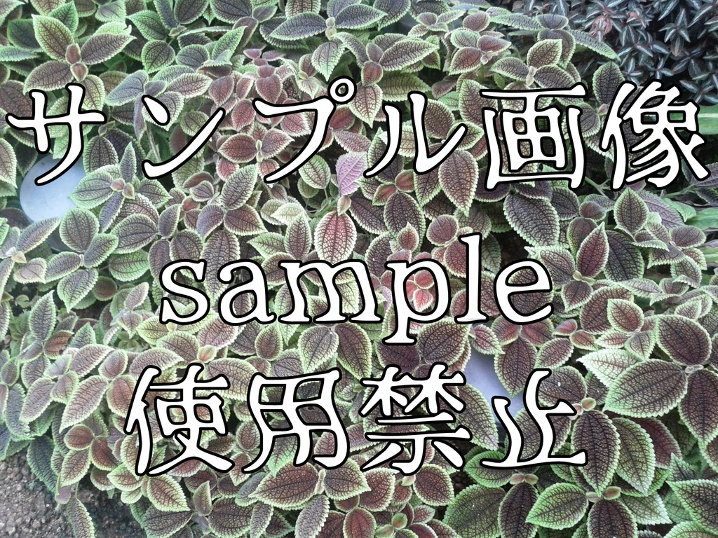 ゲーム向けホラー画像+花の背景素材集