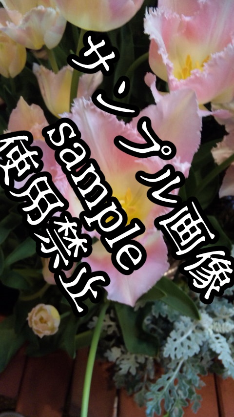 ゲーム向けホラー画像+花の背景素材集