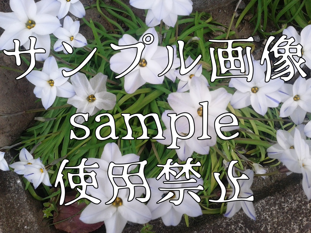 ゲーム向けホラー画像+花の背景素材集