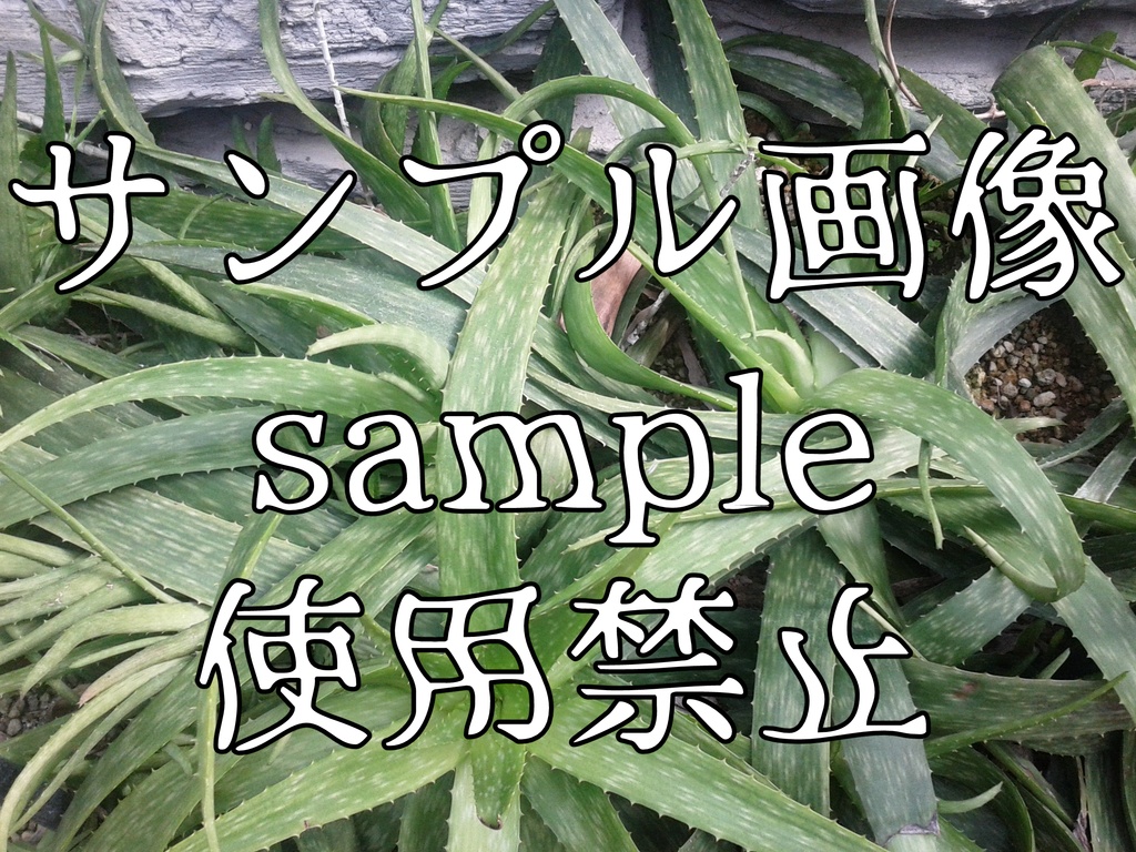 ゲーム向けホラー画像+花の背景素材集