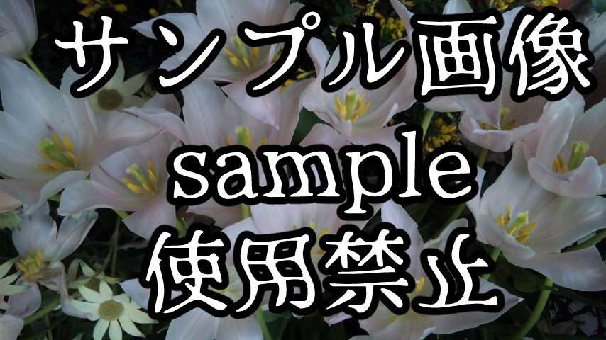 ゲーム向けホラー画像+花の背景素材集