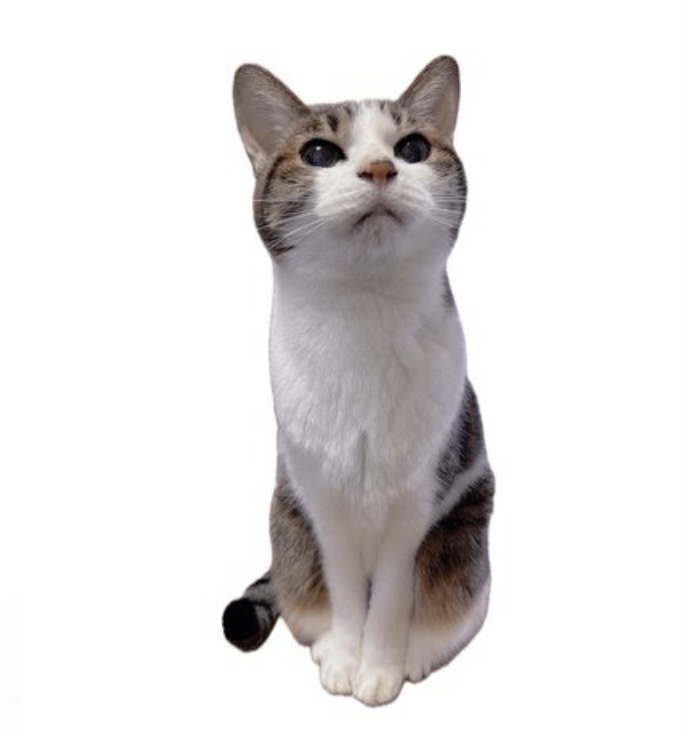 みっちゃんアクリルマグネット