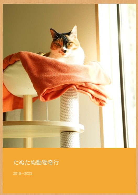 たぬたぬ動物奇行