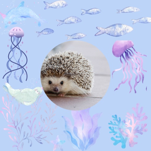 【アイコン用】海と生き物のブルーデザインアイコン