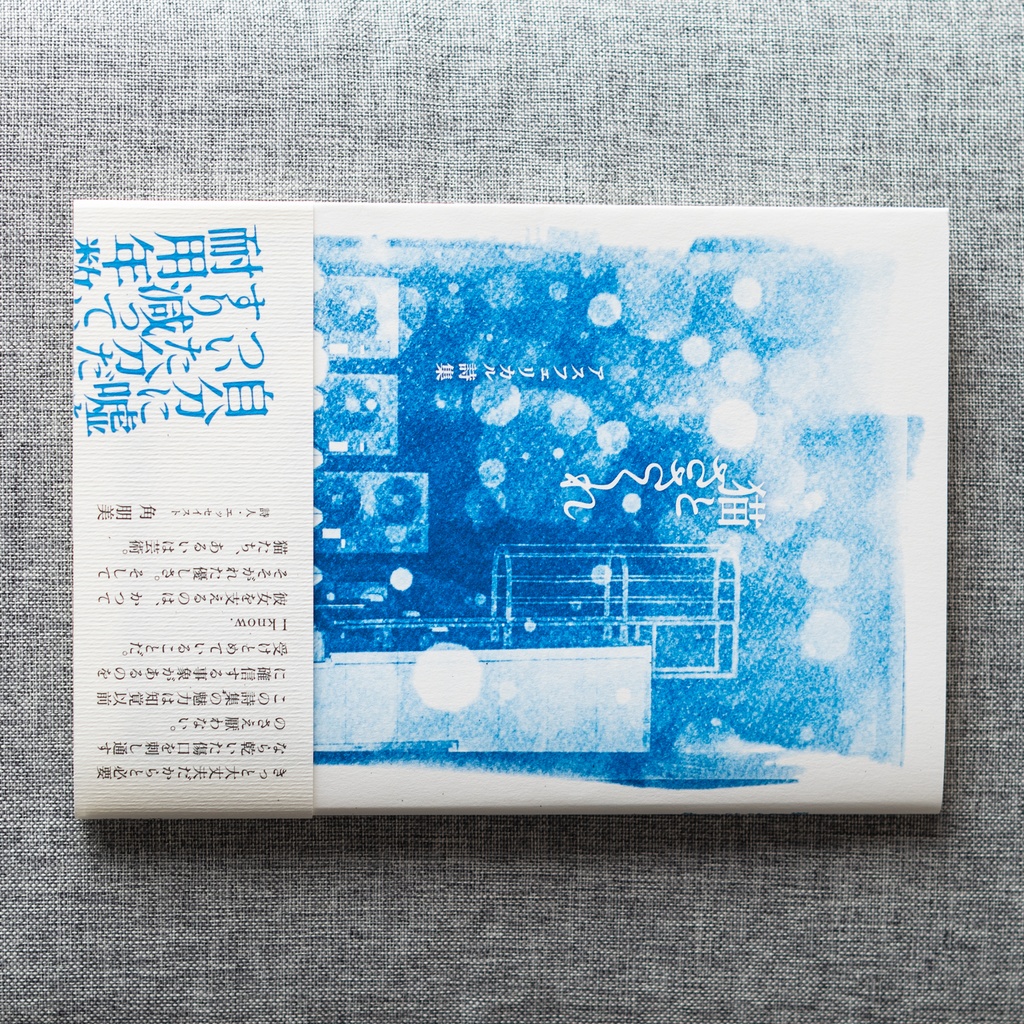 詩集『猫とささくれ』