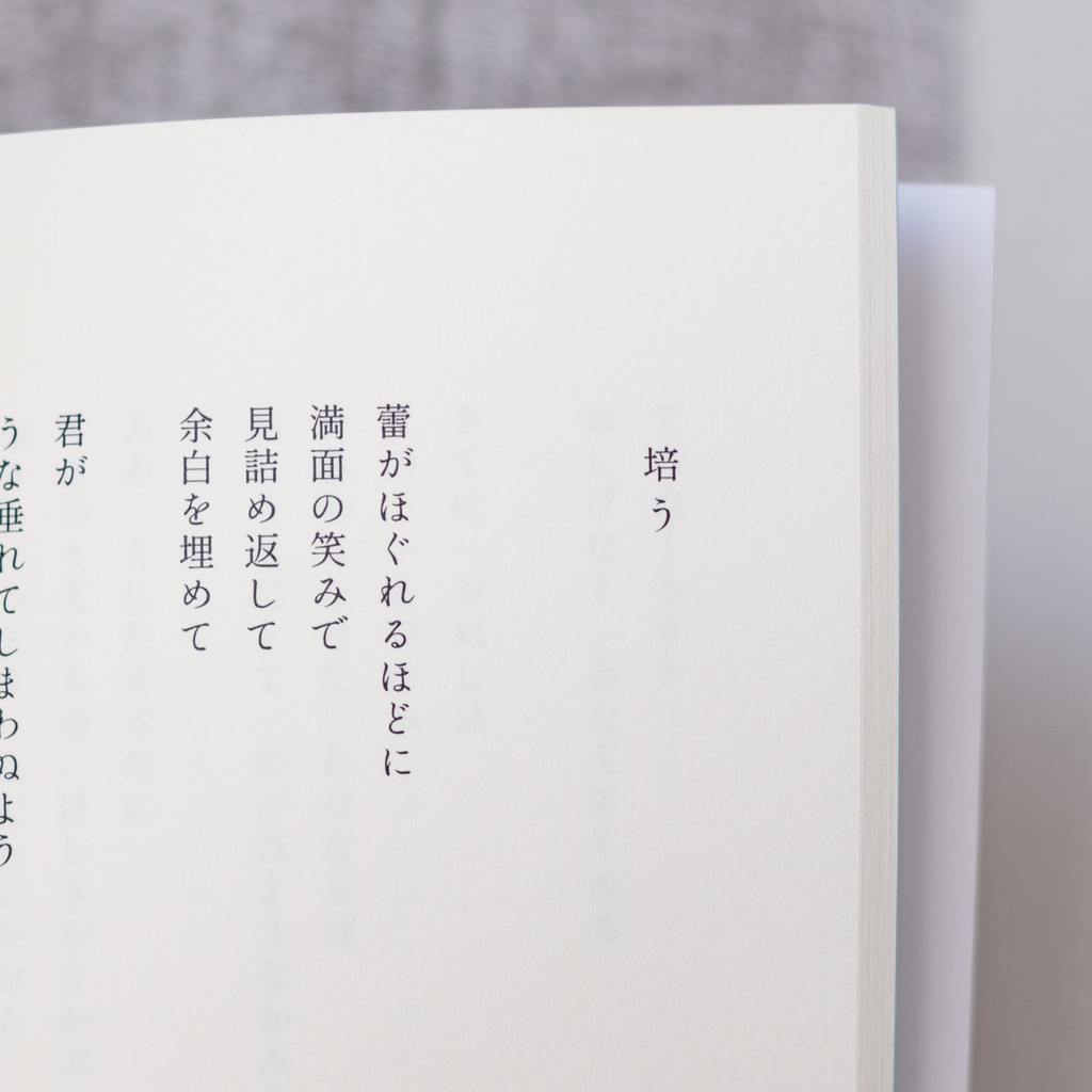 詩集『猫とささくれ』