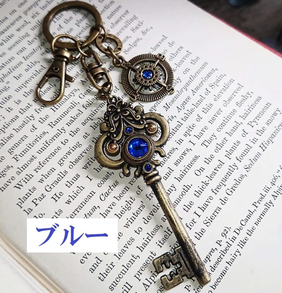 キーホルダー*鍵と羅針盤*