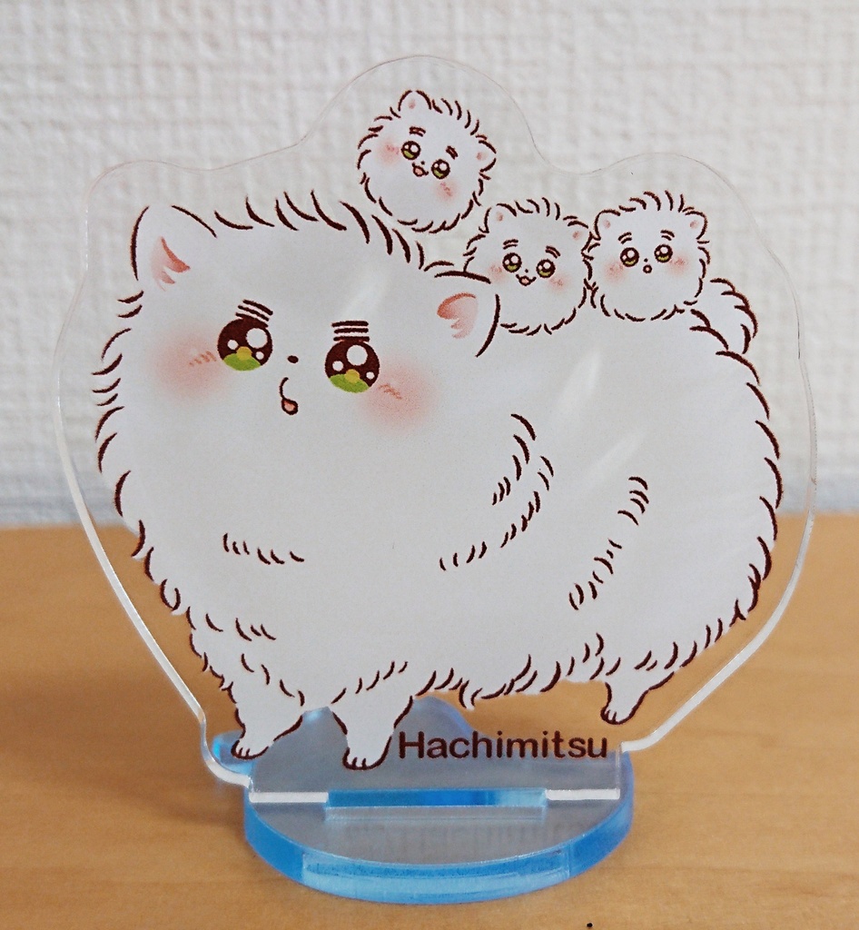 ポメマヴアクスタ