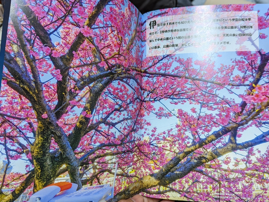 沼津のお供にイエデンワ