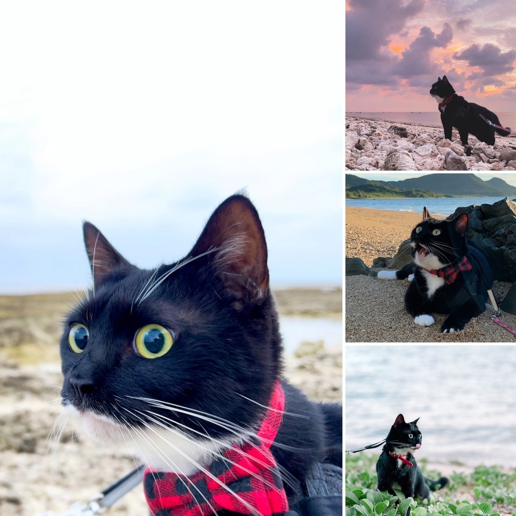 Lala Outdoor Wallpaper set