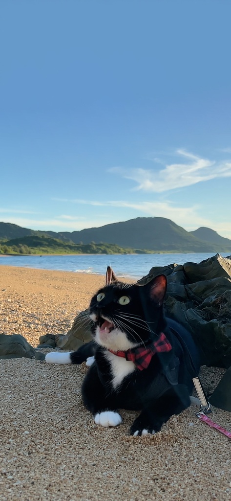 Lala Outdoor Wallpaper set