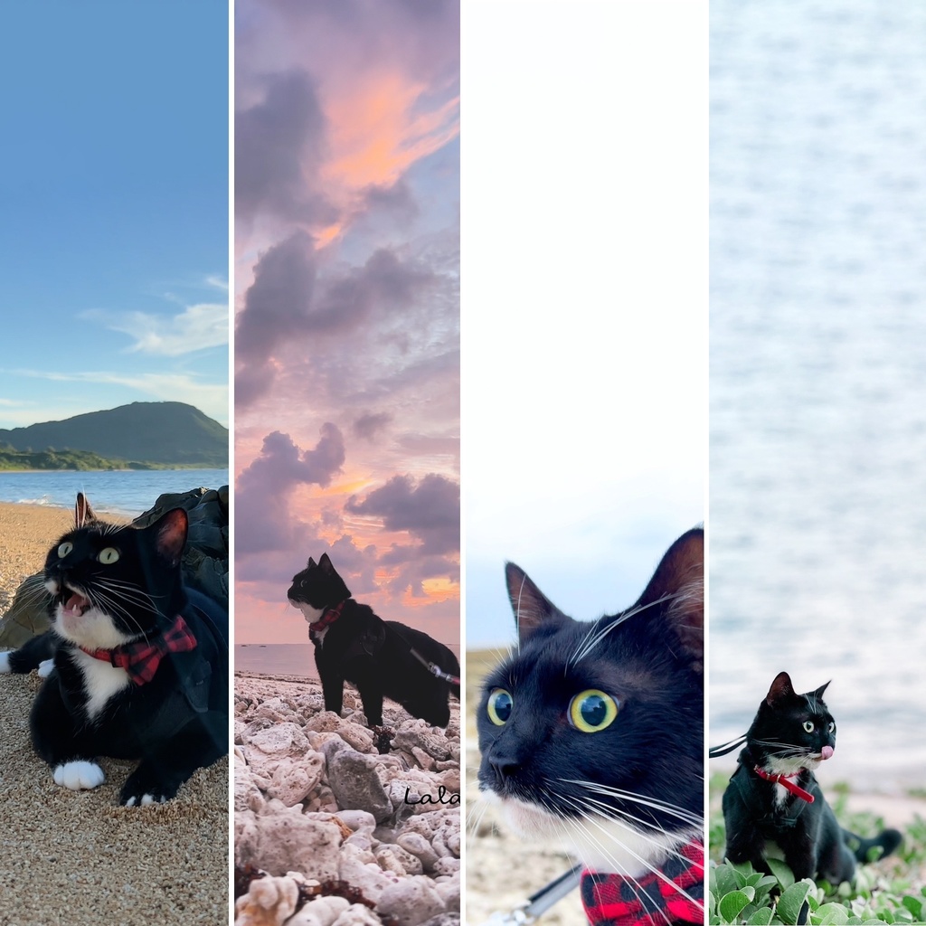 Lala Outdoor Wallpaper set