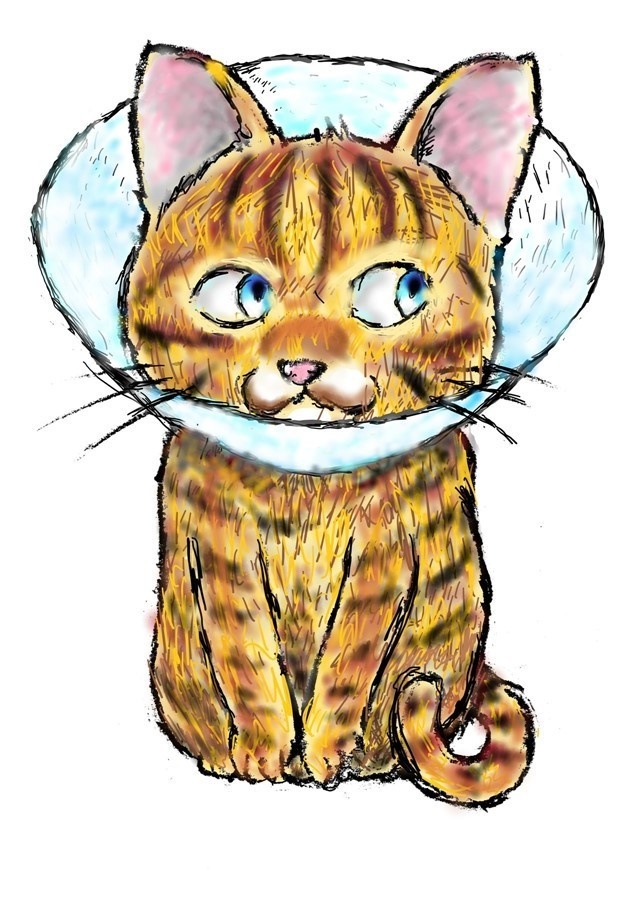 ちゃとくん エリザベスカラー (小)