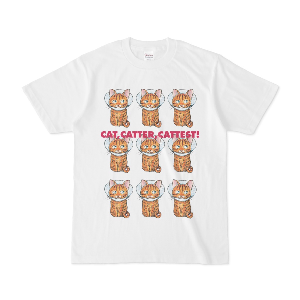 ちゃとくん 3x3 エリザベスカラー