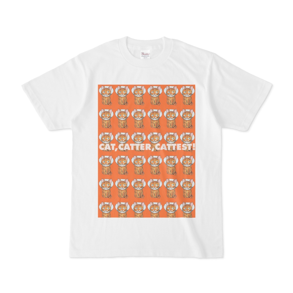 ちゃとくん 6x6 エリザベスカラー(オレンジ)