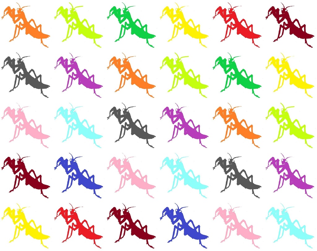 カマキリ 5x6 ロゴ緑