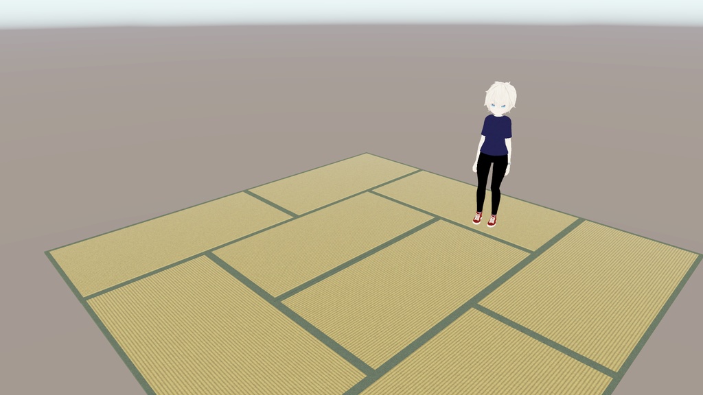 VRChat想定　畳