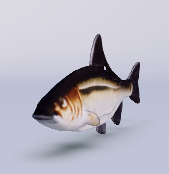 (fbx) 魚のモデル