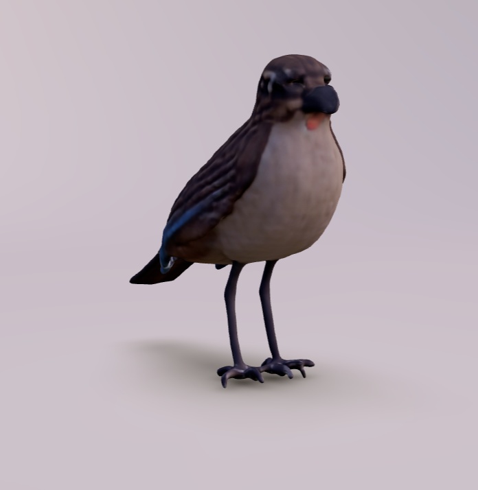 (fbx) 鳥のモデル