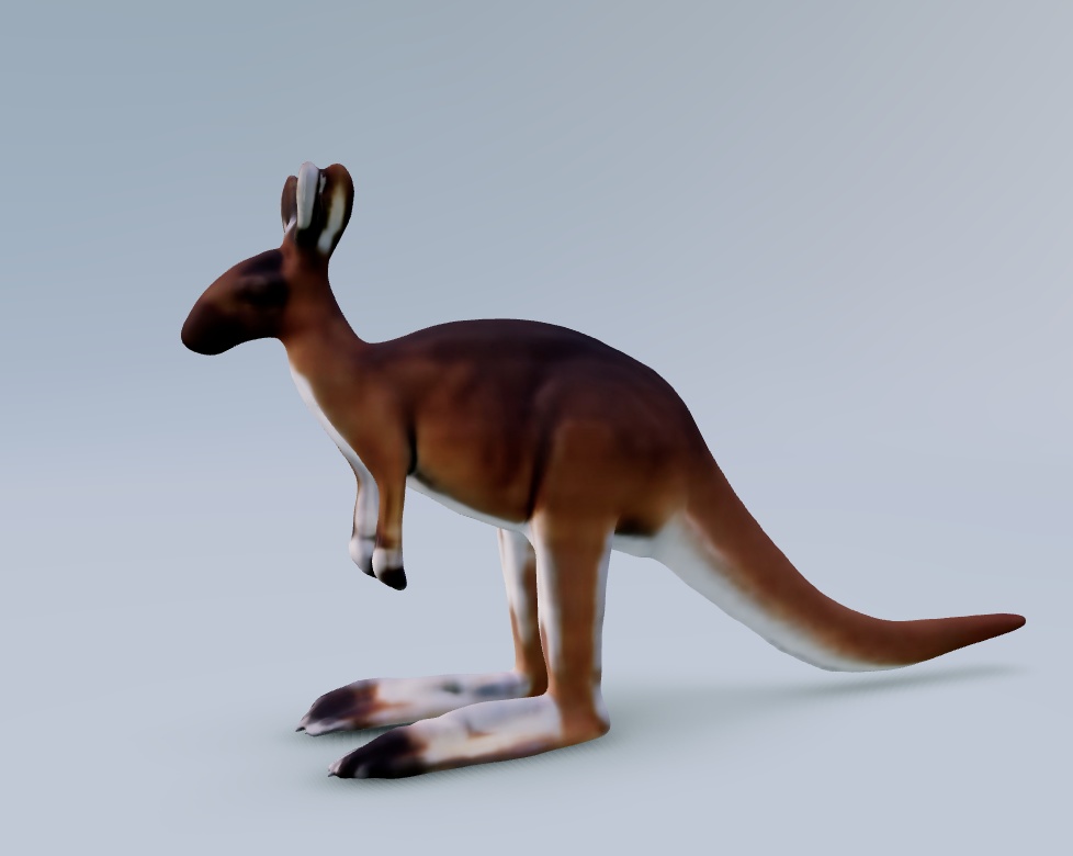 (fbx) カンガルー