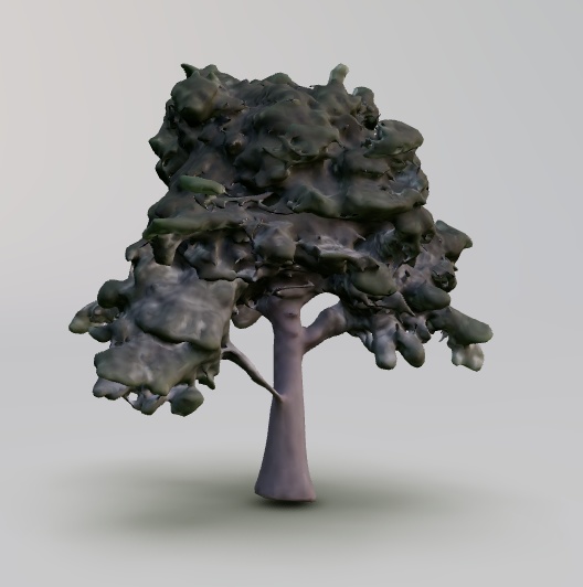 (fbx) 木